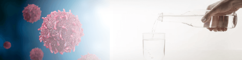 Cancer Prevention Studies