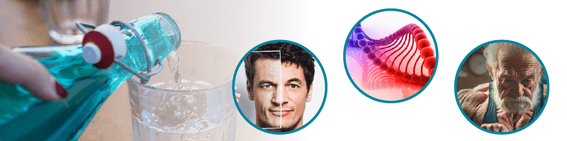 Positive Effects on the Brain