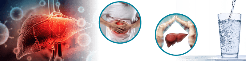 Positive Effects on the Liver