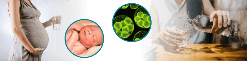 Positive Effects on the Pregnancy