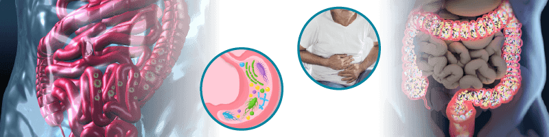 Disease prevention research